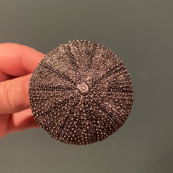 Set of 6 Pottery Barn Sea Urchin Napkin Rings - Silver - Picture 2 of 6